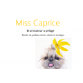 Miss Caprice - Brumisateur a pelage
